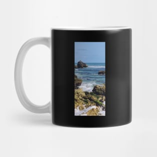 Coastal scene - shag on a rock Mug